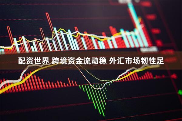 配资世界 跨境资金流动稳 外汇市场韧性足