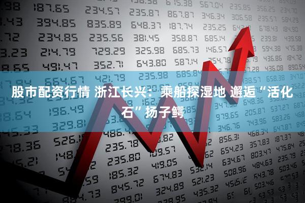 股市配资行情 浙江长兴：乘船探湿地 邂逅“活化石”扬子鳄